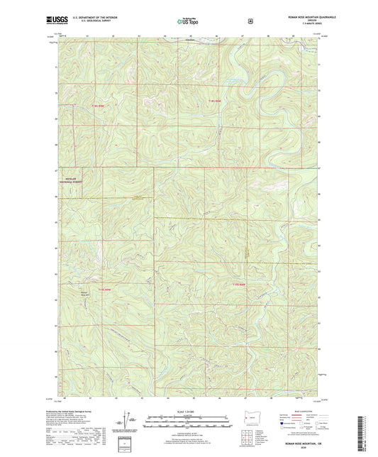 Roman Nose Mountain Oregon US Topo Map Image