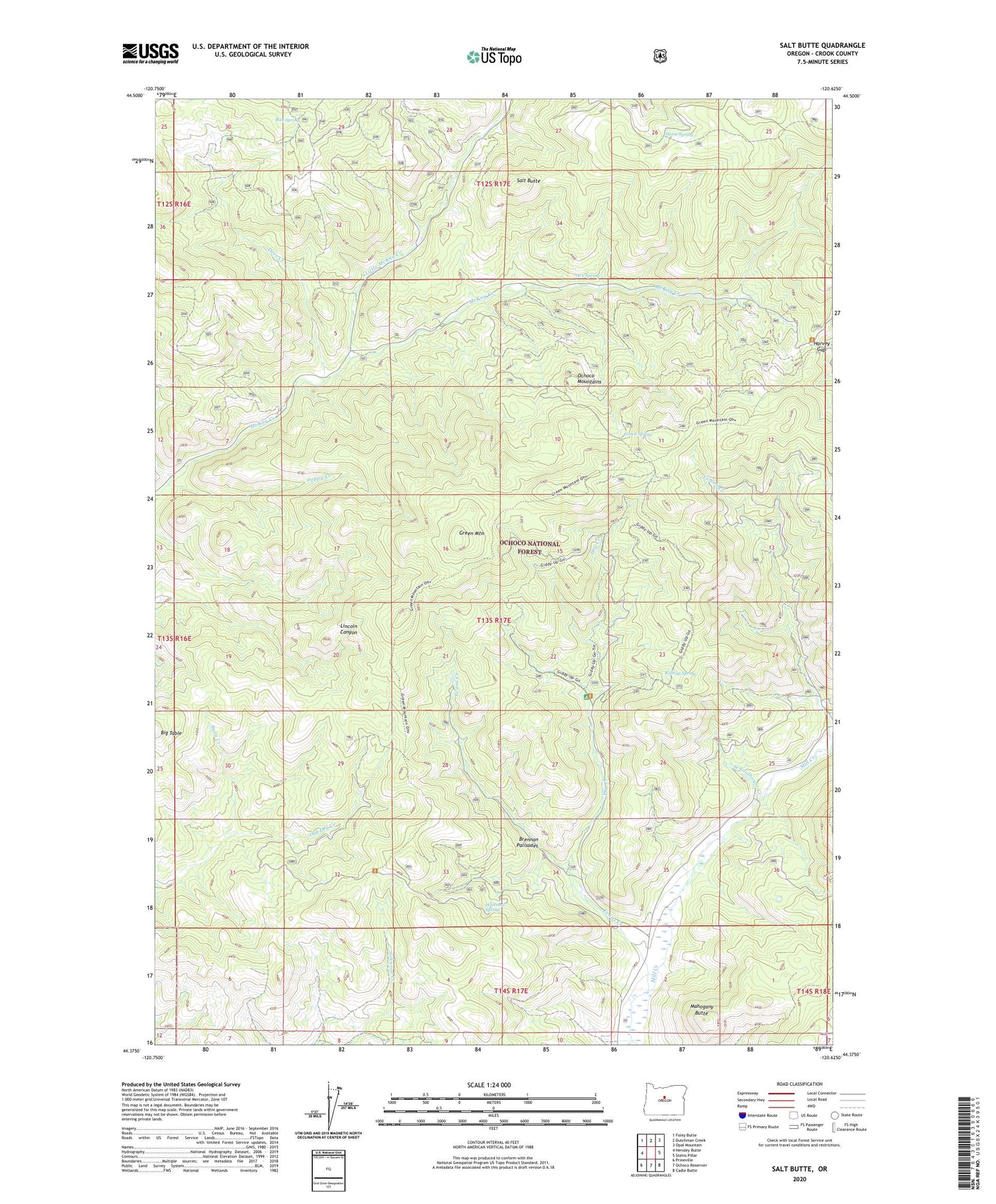 Salt Butte Oregon US Topo Map Image