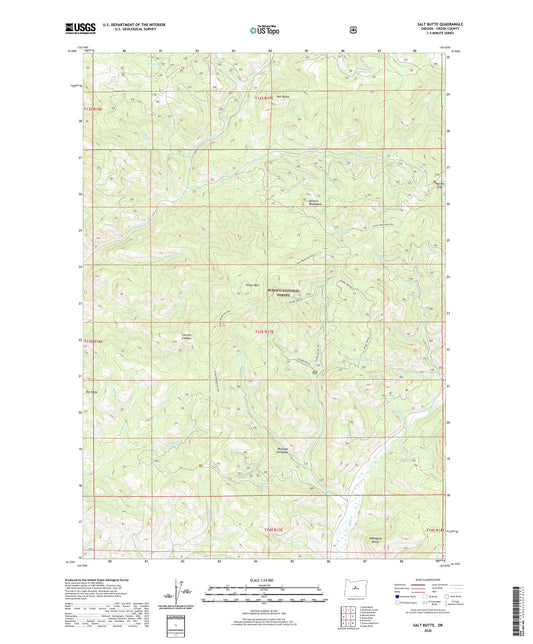 Salt Butte Oregon US Topo Map Image