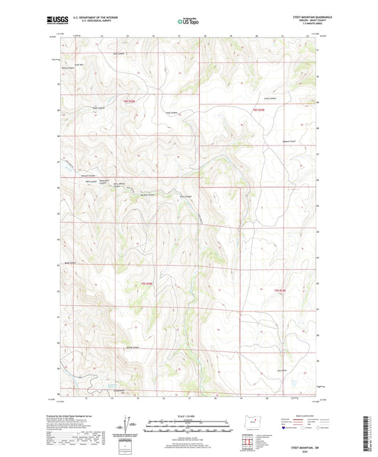Steet Mountain Oregon US Topo Map Image