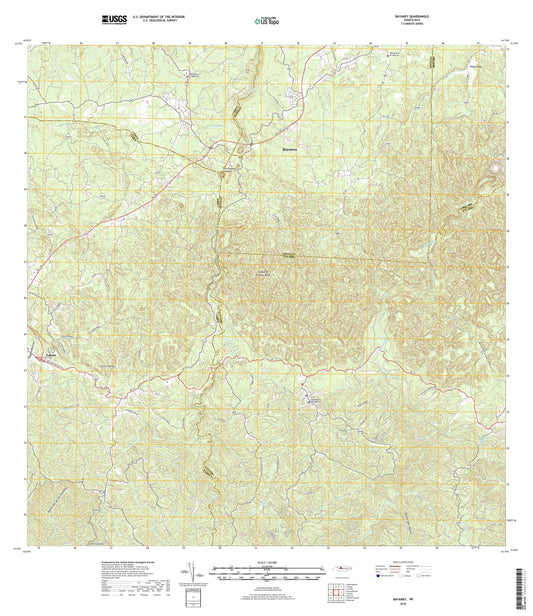 Bayaney Puerto Rico US Topo Map Image