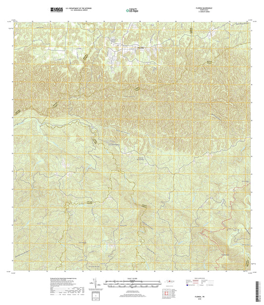 Florida Puerto Rico US Topo Map Image