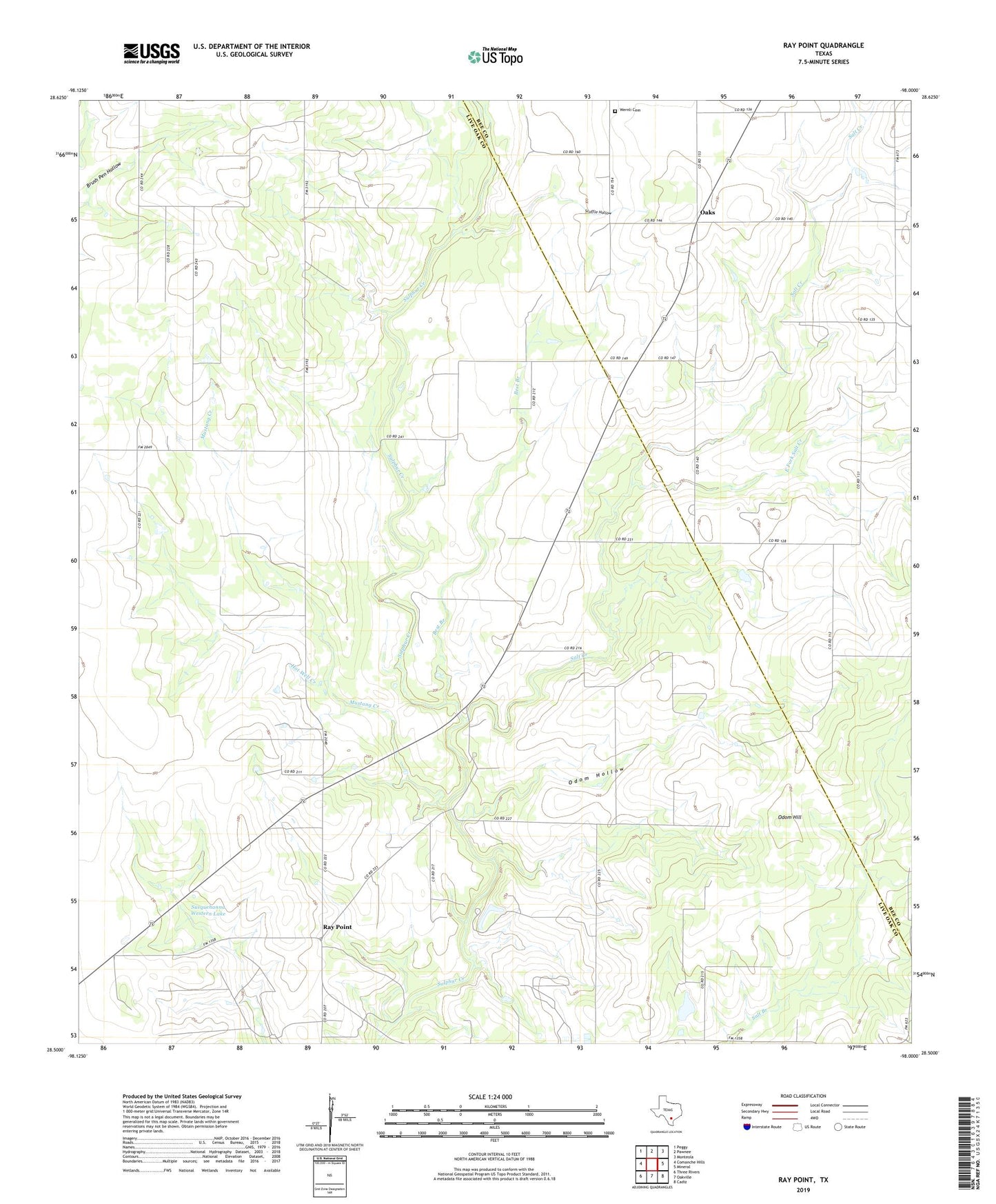 Ray Point Texas US Topo Map Image