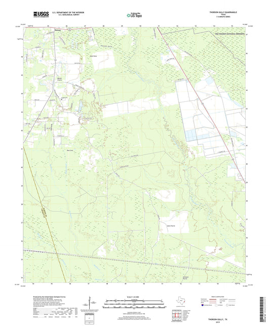 Thorson Gully Texas US Topo Map Image