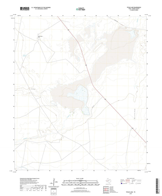 Toyah Lake Texas US Topo Map Image