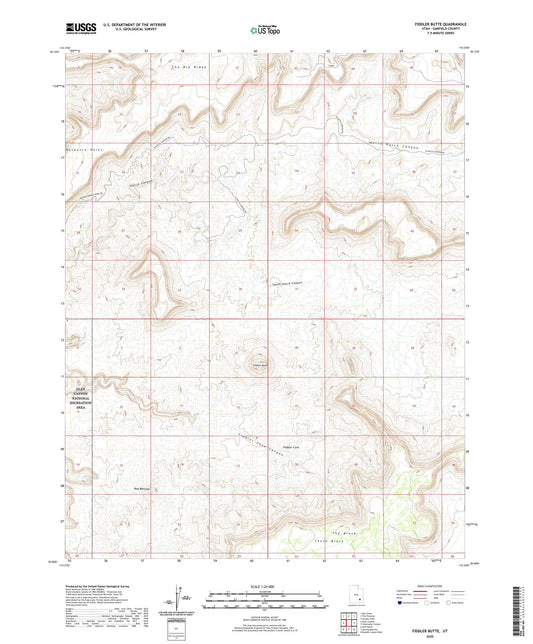 Fiddler Butte Utah US Topo Map Image