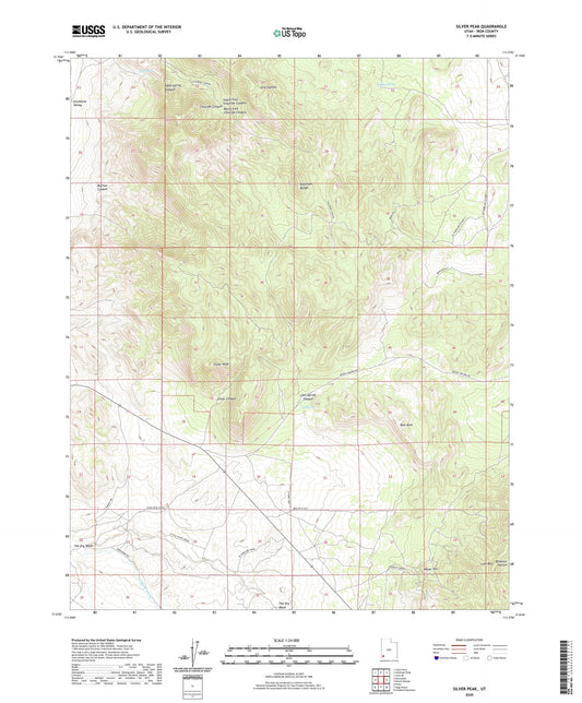 Silver Peak Utah US Topo Map Image