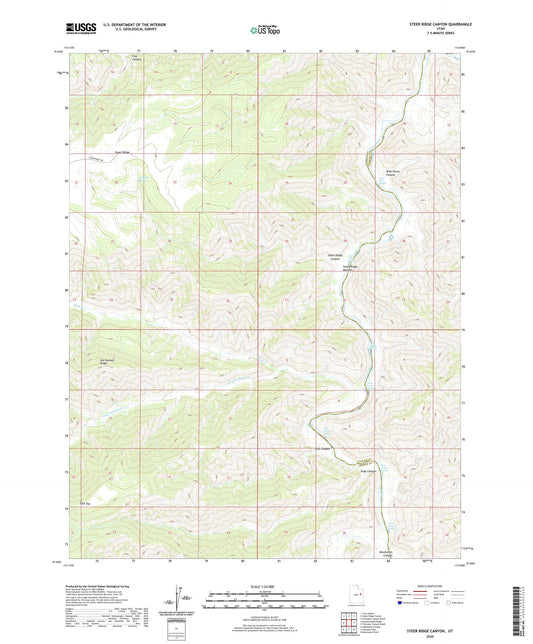 Steer Ridge Canyon Utah US Topo Map Image