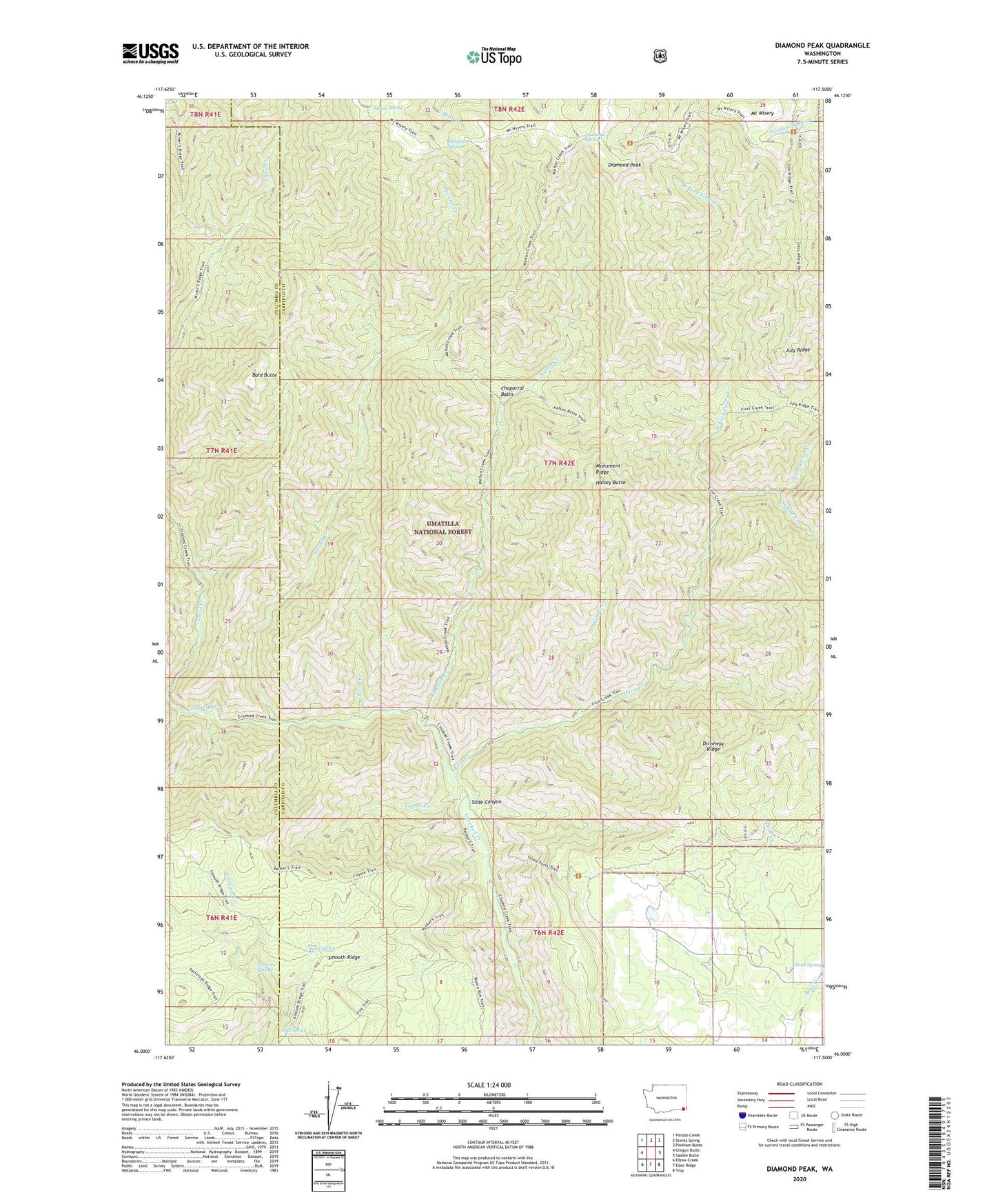 Diamond Peak Washington US Topo Map Image