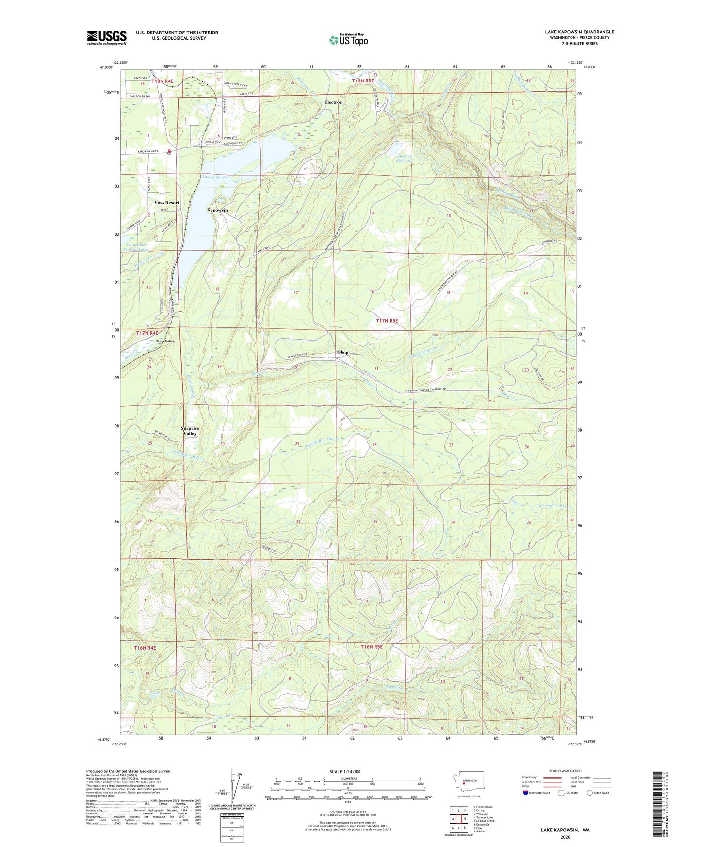 Lake Kapowsin Washington US Topo Map Image