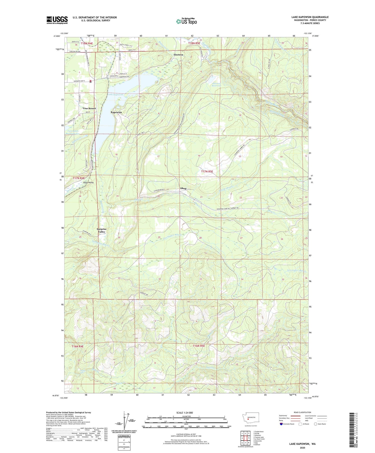 Lake Kapowsin Washington US Topo Map Image