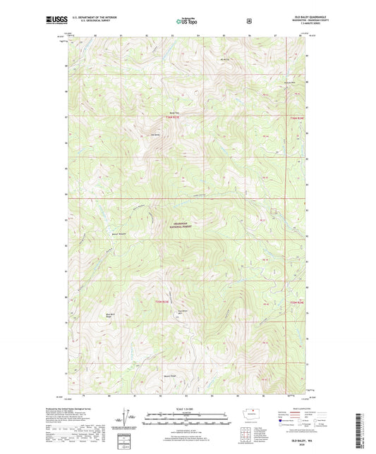 Old Baldy Washington US Topo Map Image
