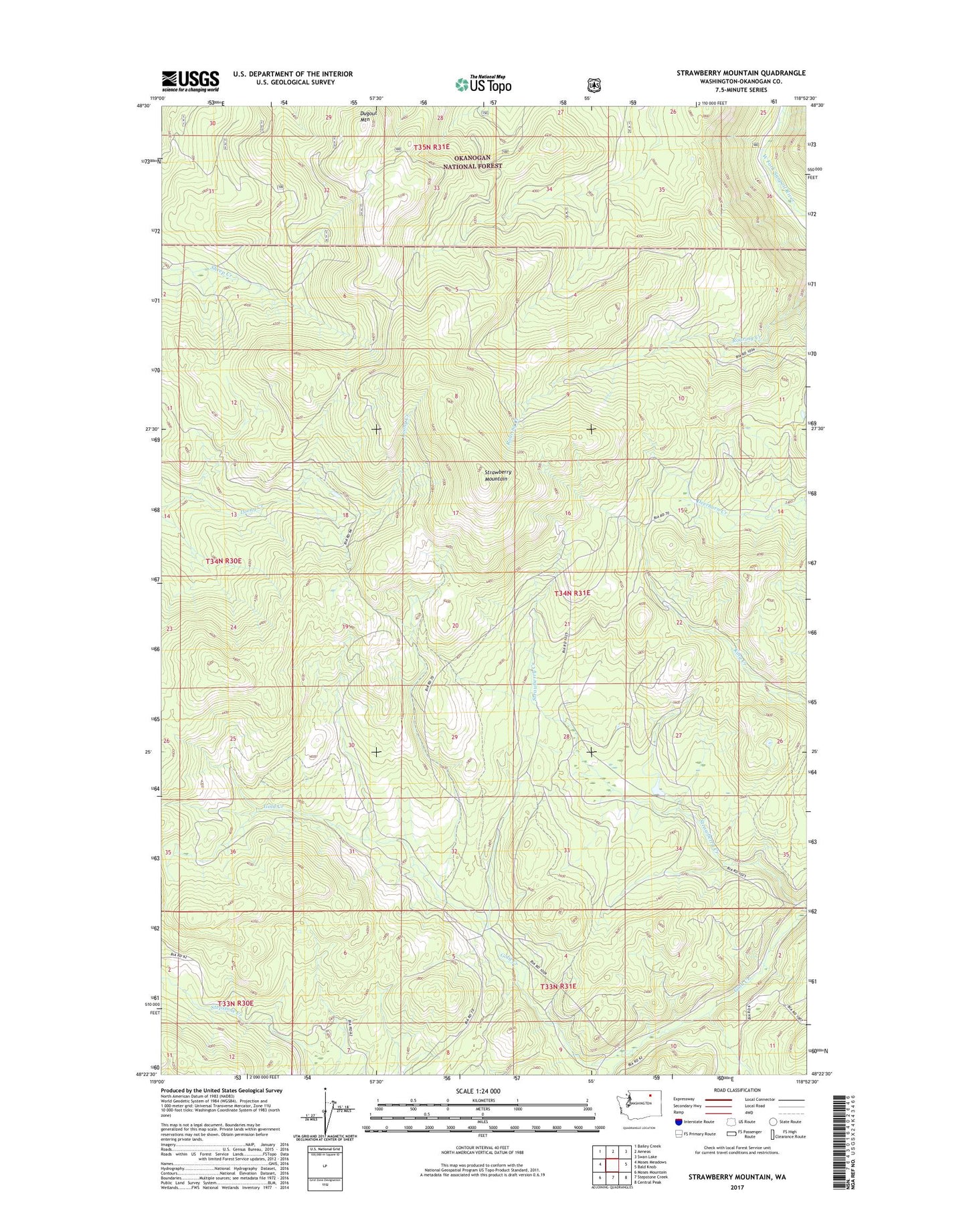 Strawberry Mountain Washington US Topo Map Image