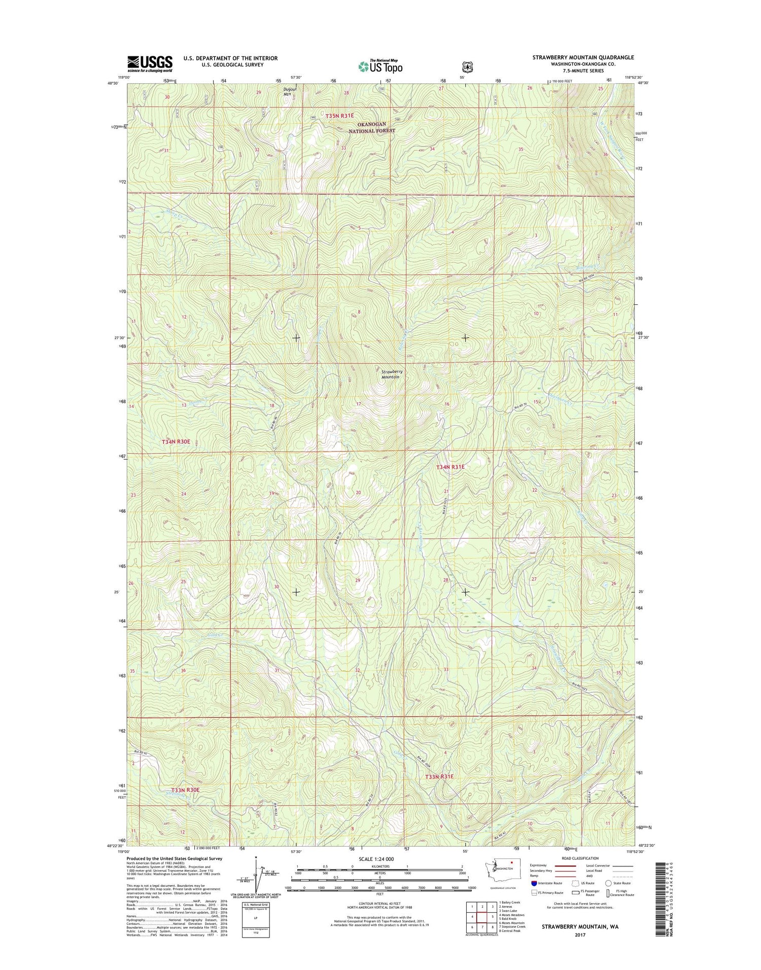 Strawberry Mountain Washington US Topo Map Image