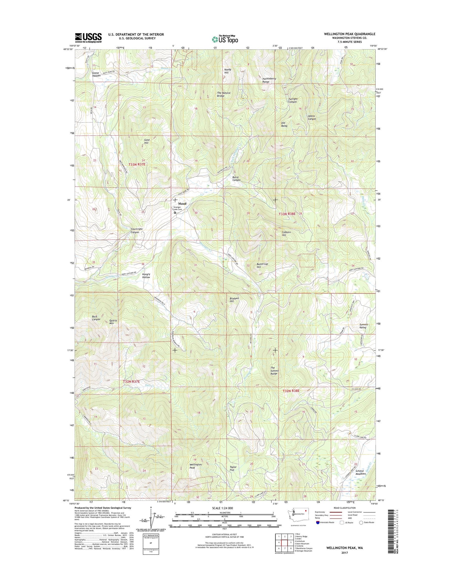 Wellington Peak Washington US Topo Map Image