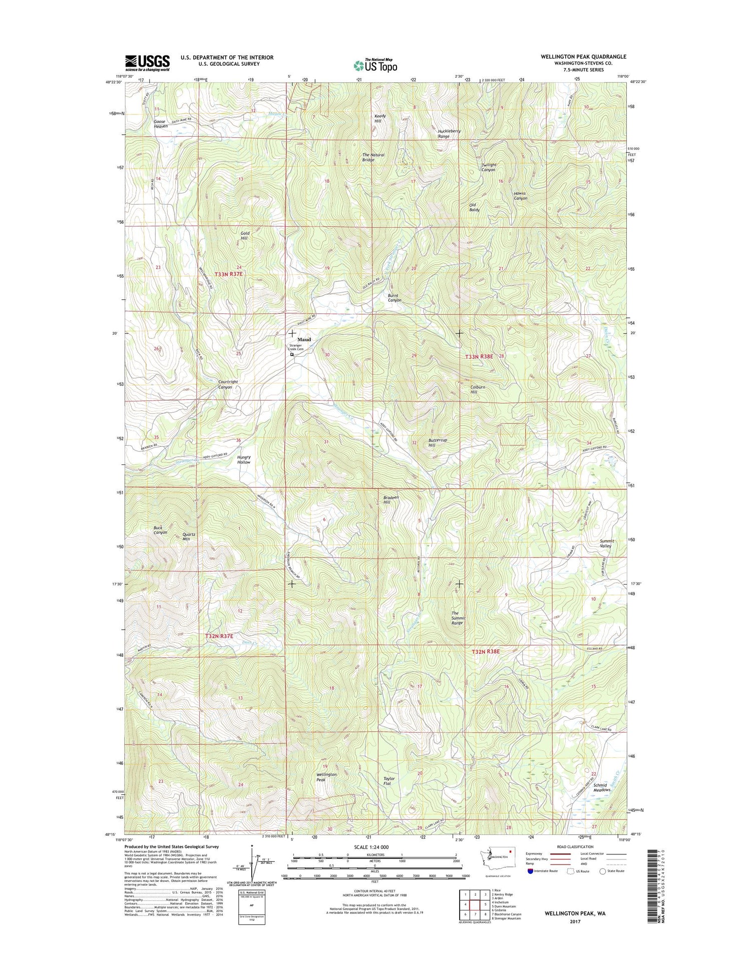 Wellington Peak Washington US Topo Map Image
