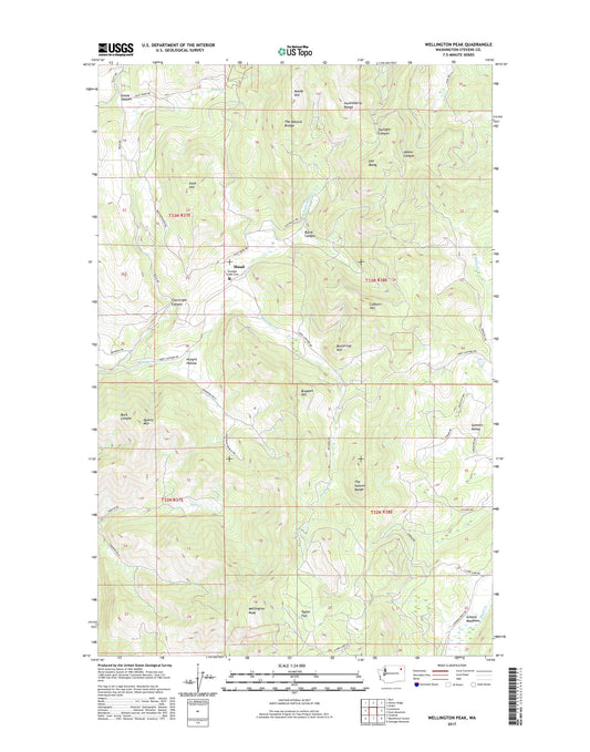 Wellington Peak Washington US Topo Map Image