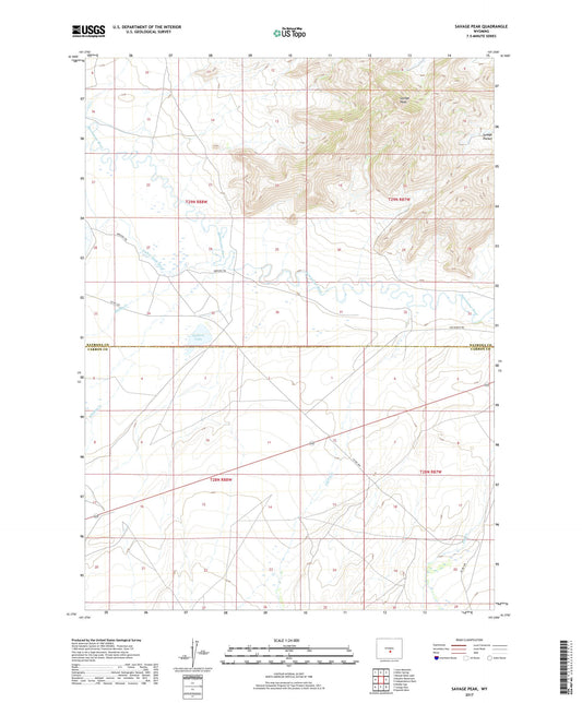 Savage Peak Wyoming US Topo Map Image