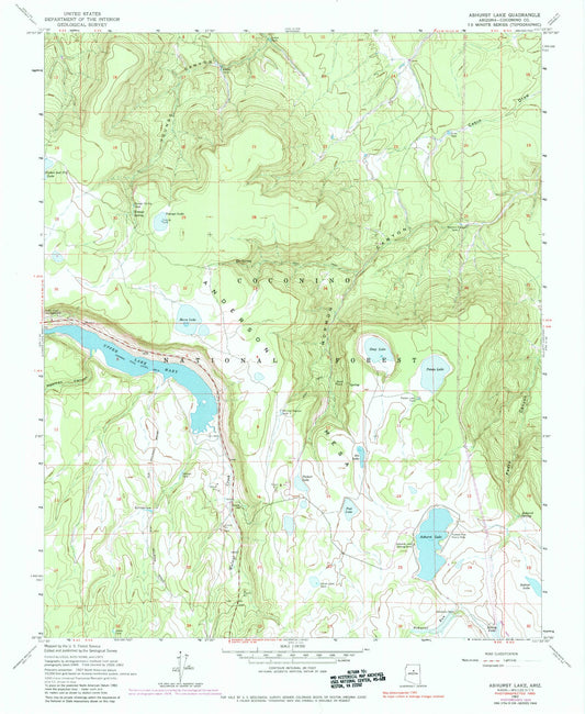 Classic USGS Ashurst Lake Arizona 7.5'x7.5' Topo Map Image