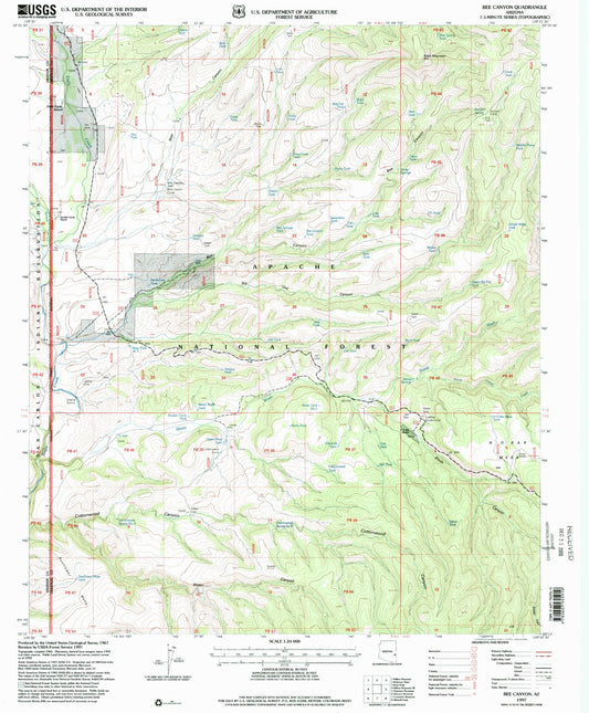 Classic USGS Bee Canyon Arizona 7.5'x7.5' Topo Map Image