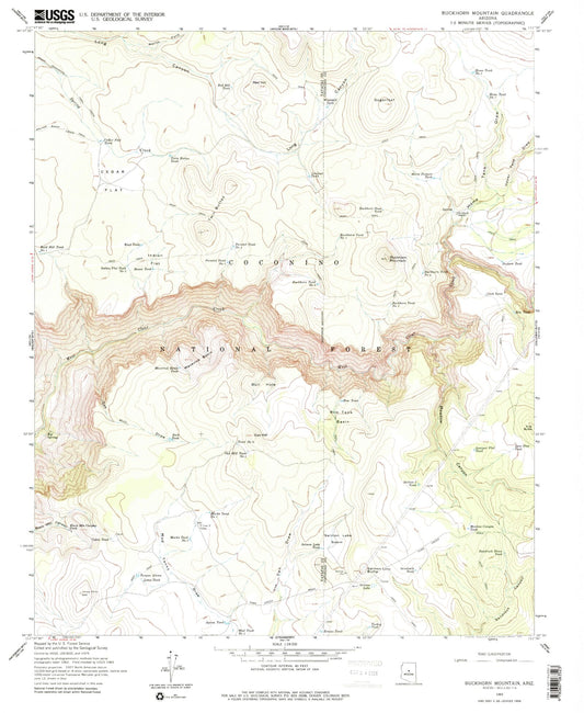 Classic USGS Buckhorn Mountain Arizona 7.5'x7.5' Topo Map Image