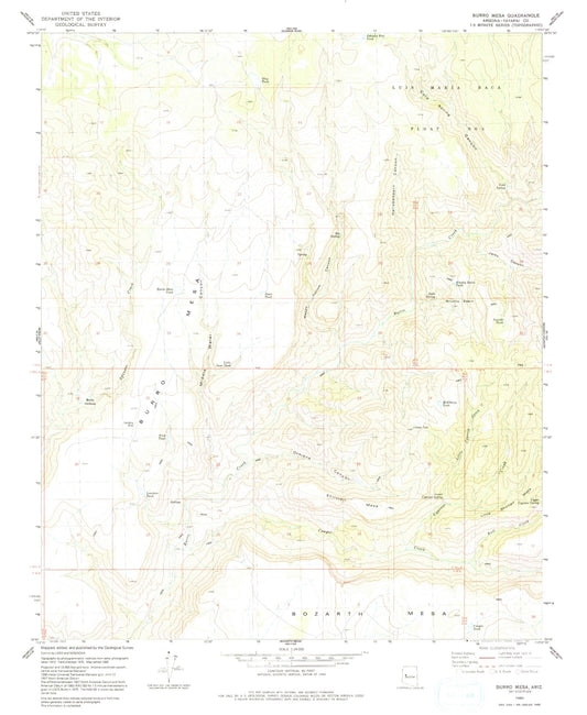 Classic USGS Burro Mesa Arizona 7.5'x7.5' Topo Map Image