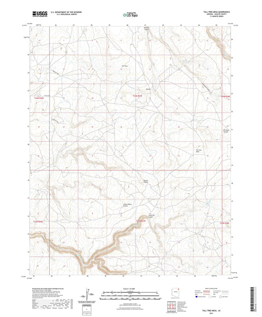 Tall Tree Mesa Arizona US Topo Map Image