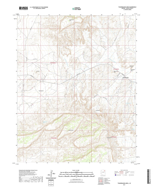 Toadindaaska Mesa Arizona US Topo Map Image