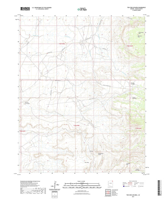 Toh Chin Lini Mesa Arizona US Topo Map Image