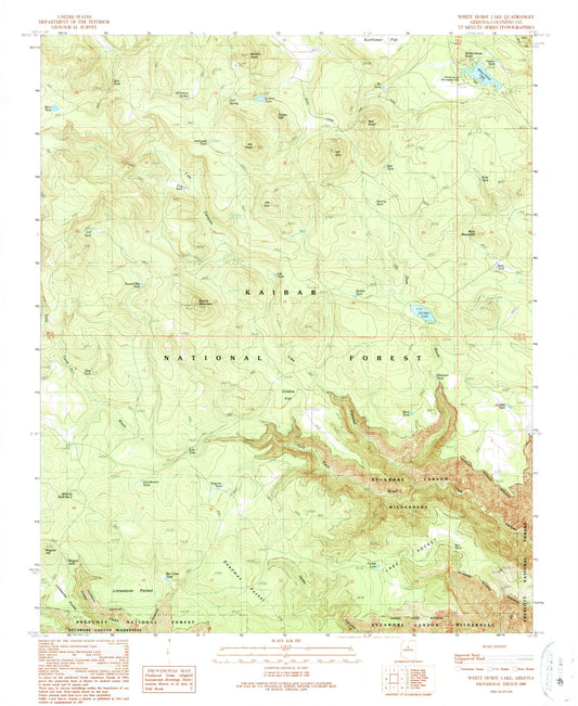 Classic USGS White Horse Lake Arizona 7.5'x7.5' Topo Map Image