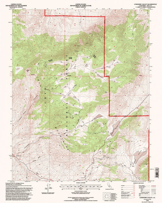Classic USGS Cowhorn Valley California 7.5'x7.5' Topo Map Image