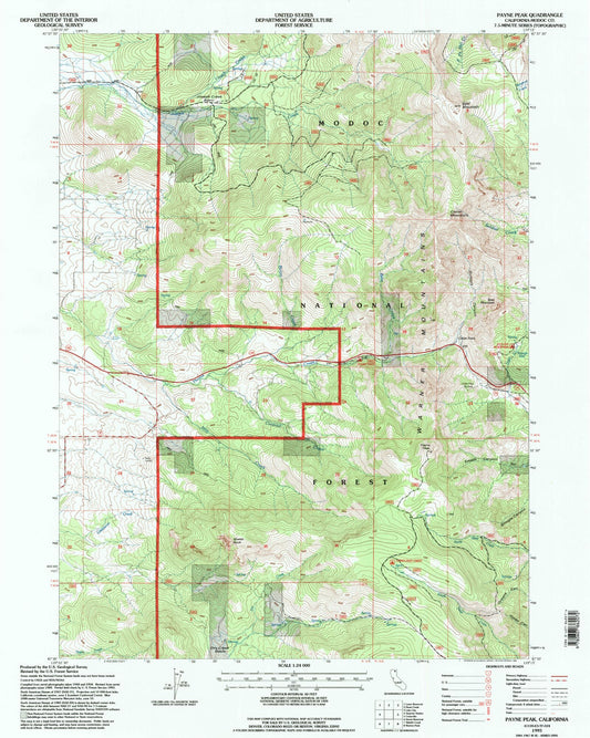 Classic USGS Payne Peak California 7.5'x7.5' Topo Map Image