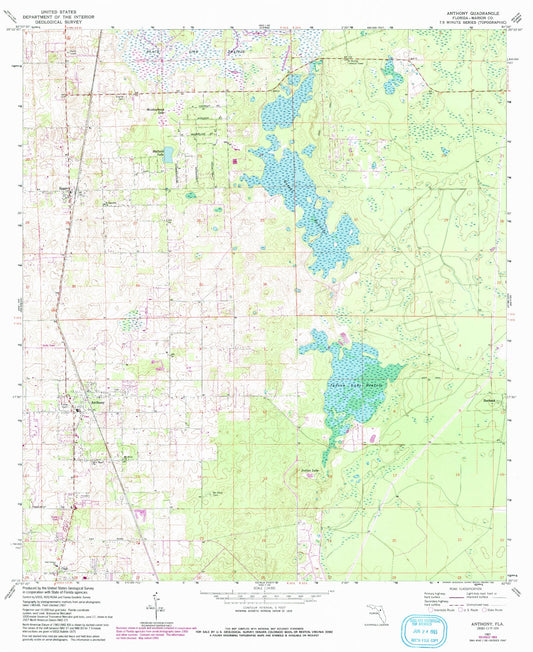 Classic USGS Anthony Florida 7.5'x7.5' Topo Map Image