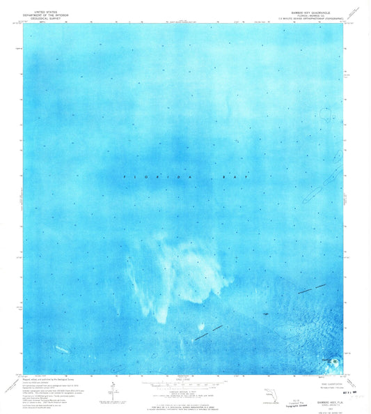 Classic USGS Bamboo Key Florida 7.5'x7.5' Topo Map Image