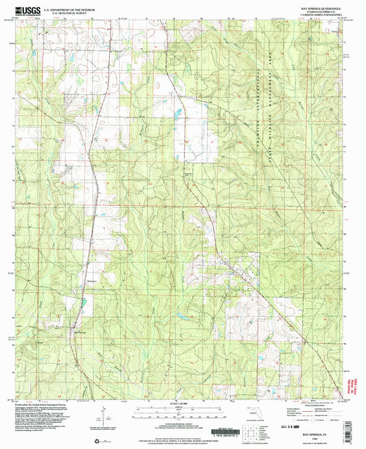 Classic USGS Bay Springs Florida 7.5'x7.5' Topo Map Image