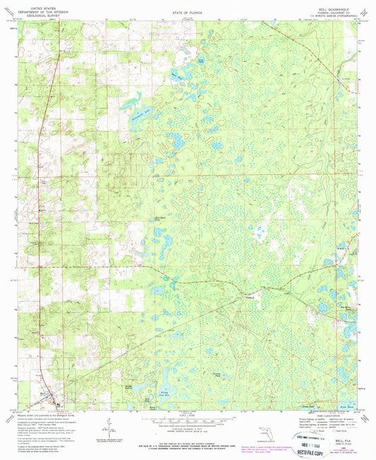 Classic USGS Bell Florida 7.5'x7.5' Topo Map Image