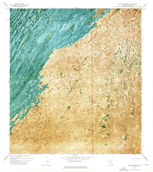 Classic USGS Black Hammock Florida 7.5'x7.5' Topo Map Image