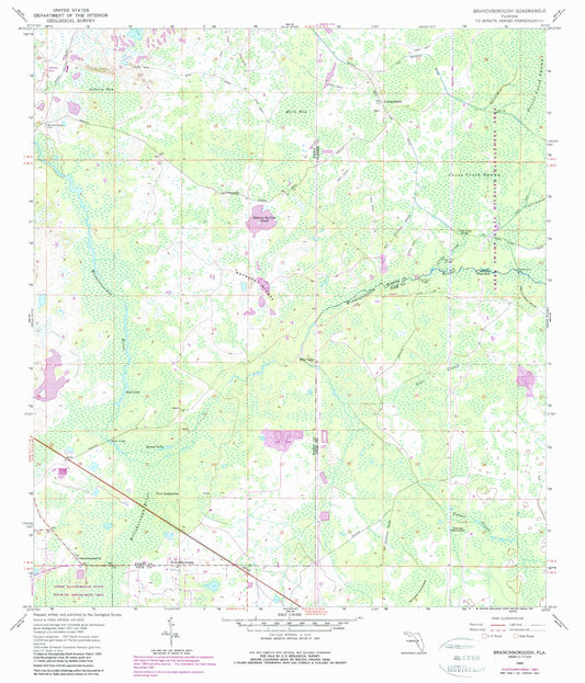 Classic USGS Branchborough Florida 7.5'x7.5' Topo Map Image
