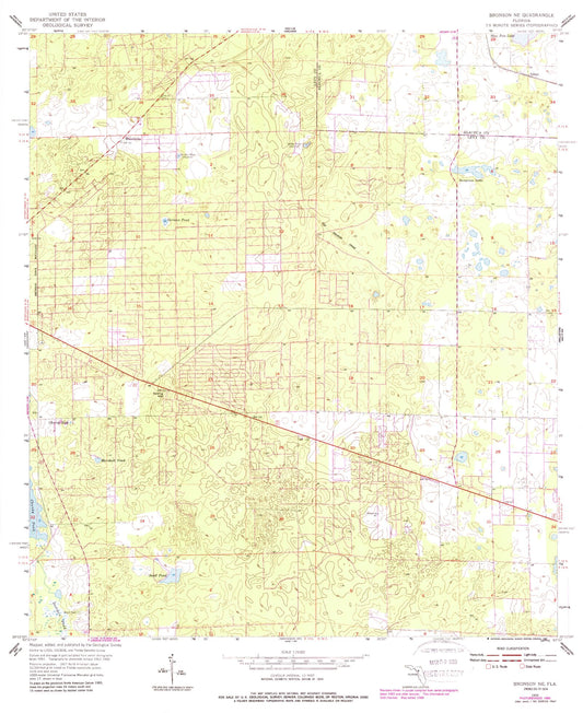 Classic USGS Bronson NE Florida 7.5'x7.5' Topo Map Image