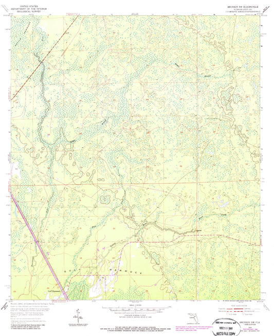 Classic USGS Bronson SW Florida 7.5'x7.5' Topo Map Image