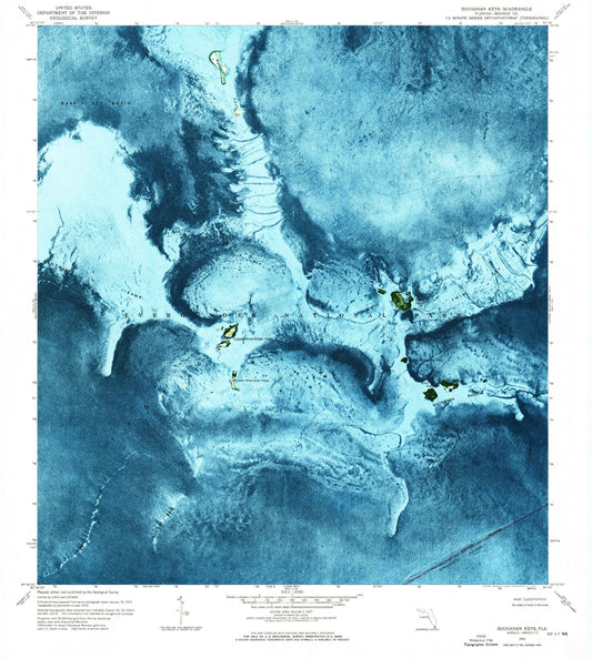 Classic USGS Buchanan Keys Florida 7.5'x7.5' Topo Map Image