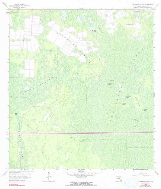 Classic USGS Catherine Island Florida 7.5'x7.5' Topo Map Image