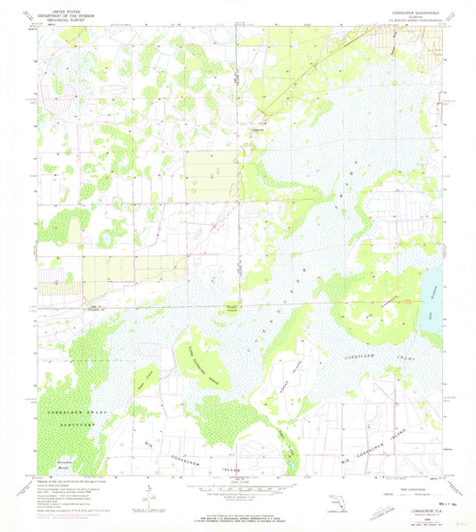 Classic USGS Corkscrew Florida 7.5'x7.5' Topo Map Image