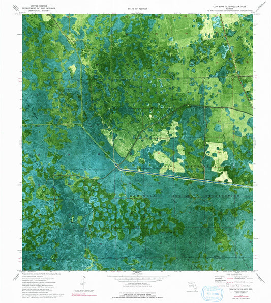 Classic USGS Cow Bone Island Florida 7.5'x7.5' Topo Map Image