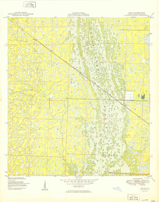 Classic USGS Delta Florida 7.5'x7.5' Topo Map Image