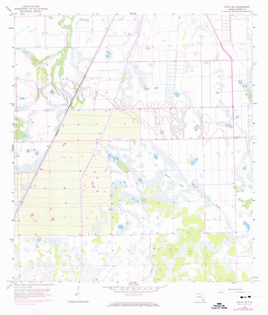 Classic USGS Felda NE Florida 7.5'x7.5' Topo Map Image