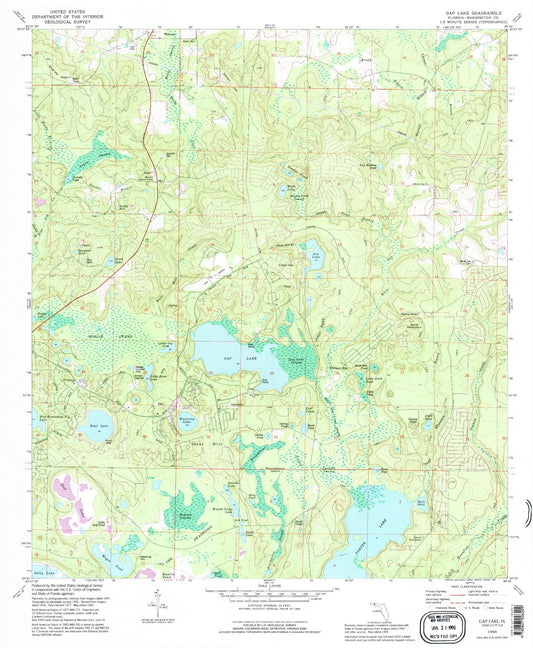 Classic USGS Gap Lake Florida 7.5'x7.5' Topo Map Image