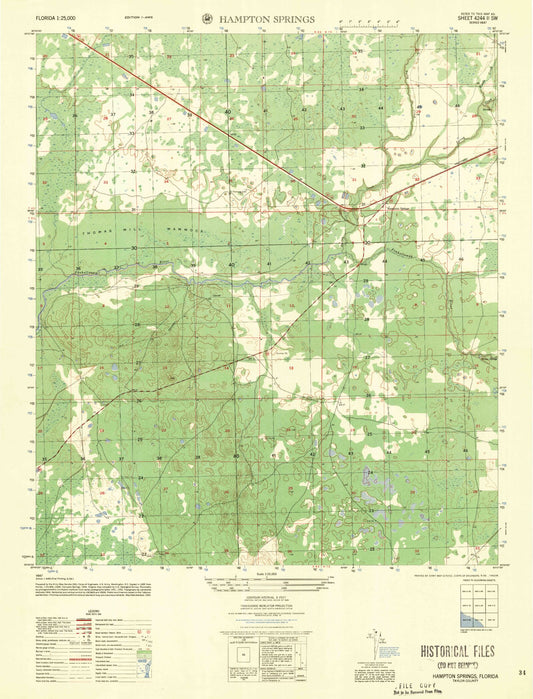 Classic USGS Hampton Springs Florida 7.5'x7.5' Topo Map Image