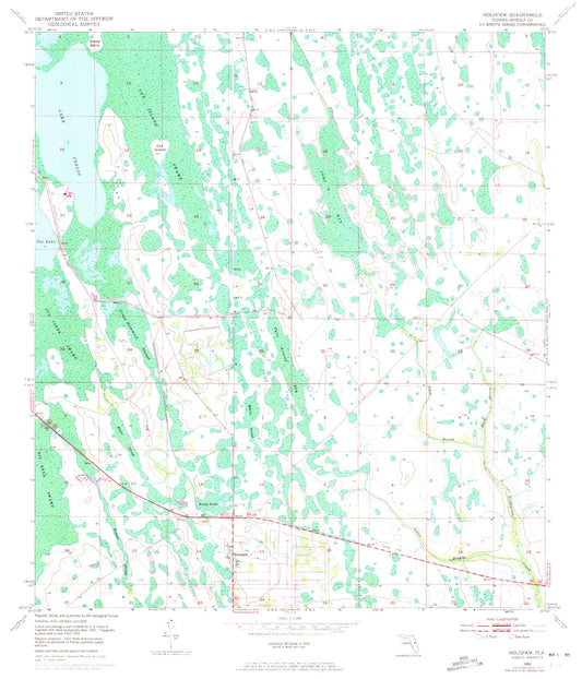 Classic USGS Holopaw Florida 7.5'x7.5' Topo Map Image