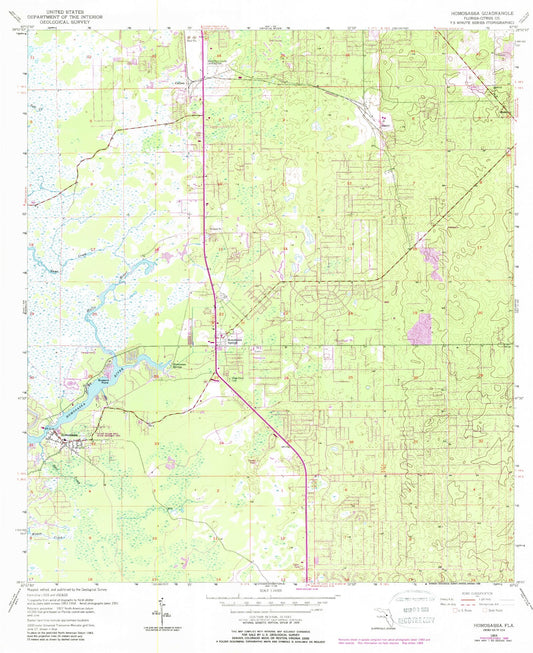 Classic USGS Homosassa Florida 7.5'x7.5' Topo Map Image